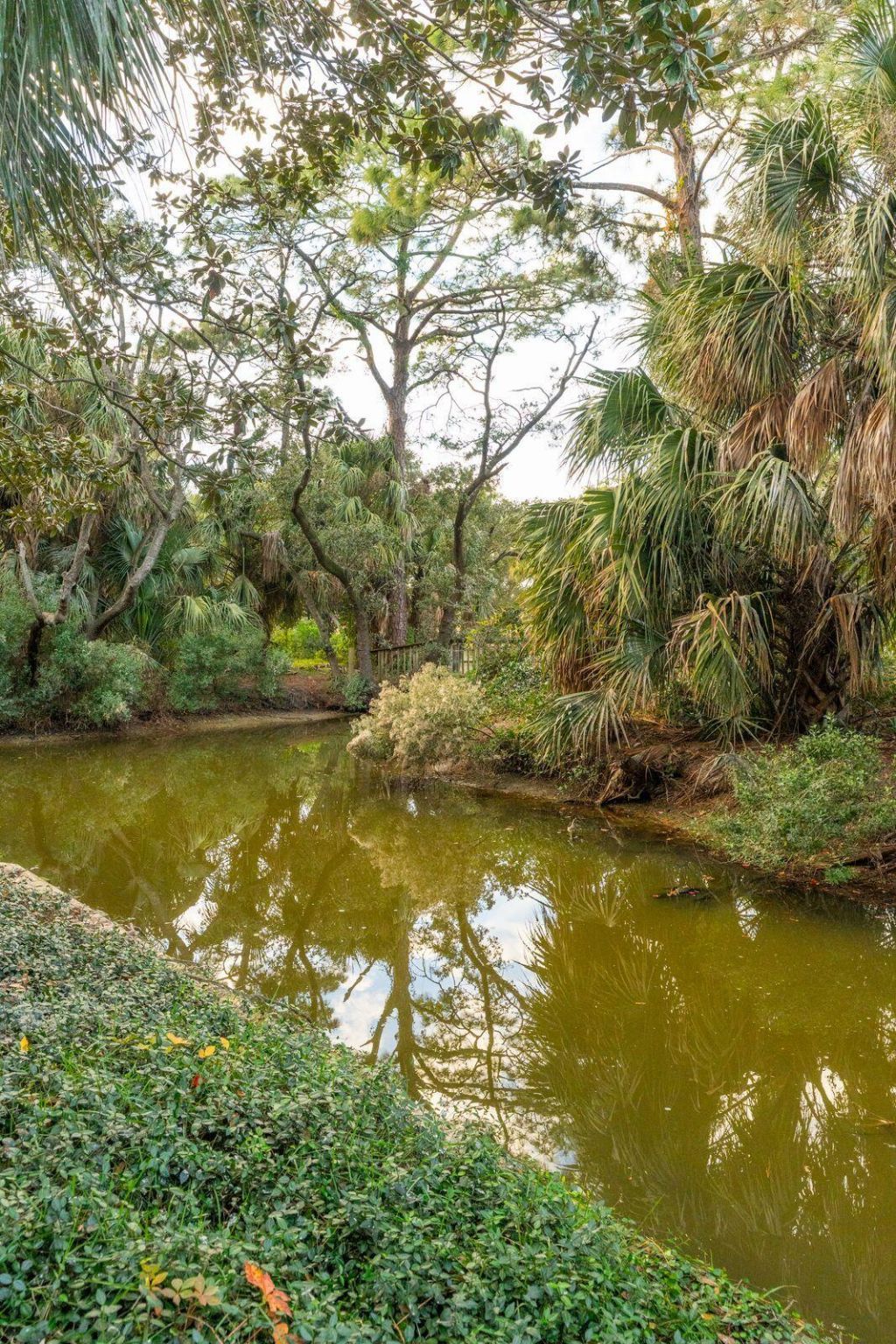 213 Little Oak Island Drive Photo 41