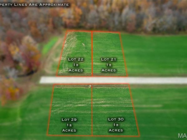 420 Bertha E Dumey Drive, Benton, MO 63736