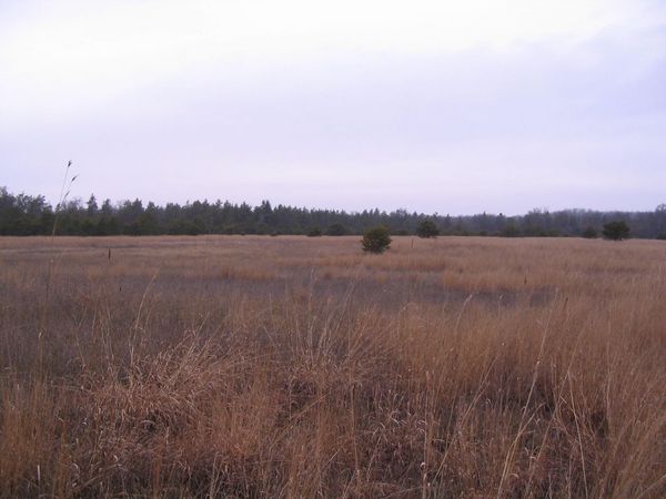 Parcel 13 N M-18, Roscommon, MI 48653