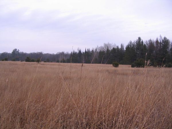 Parcel 14 N M-18, Roscommon, MI 48653