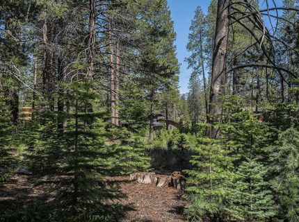 11841 Bottcher Loop, Truckee, CA 96161 Photo