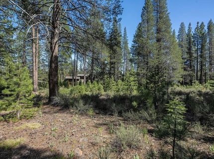 11841 Bottcher Loop, Truckee, CA 96161 Photo