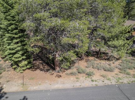 11841 Bottcher Loop, Truckee, CA 96161 Photo