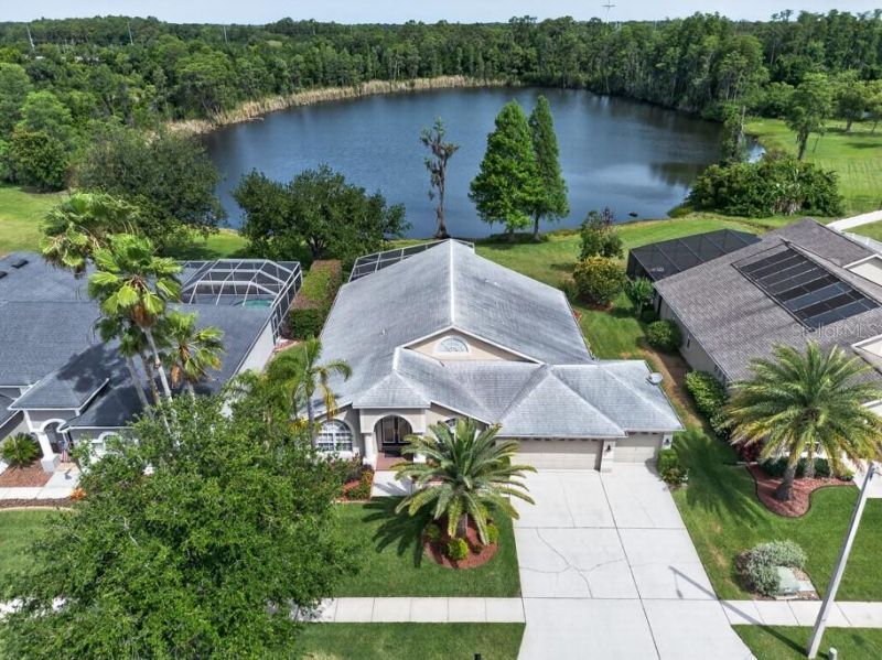 9107 Cypress Keep Lane, Odessa, FL 33556 Photo