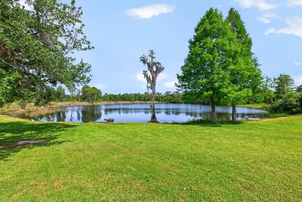9107 Cypress Keep Lane, Odessa, FL 33556 Photo