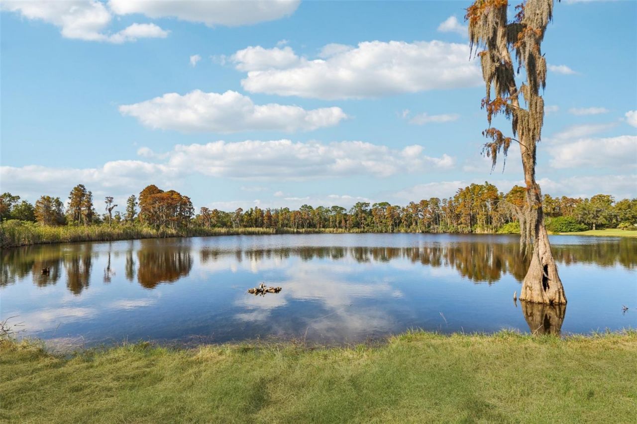 9107 Cypress Keep Lane, Odessa, FL 33556 Photo