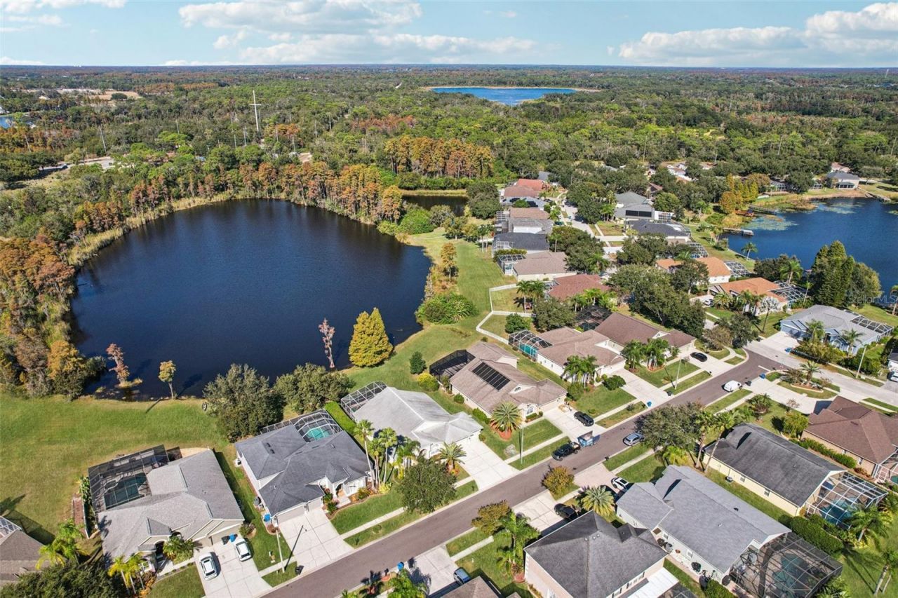 9107 Cypress Keep Lane, Odessa, FL 33556 Photo