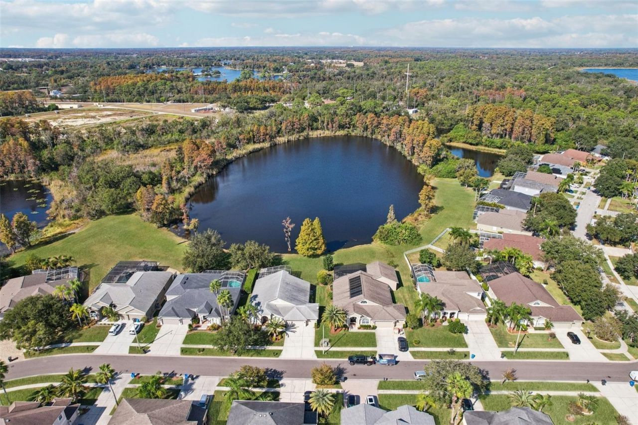 9107 Cypress Keep Lane, Odessa, FL 33556 Photo
