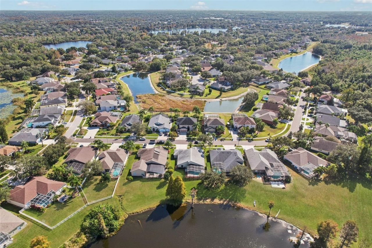9107 Cypress Keep Lane, Odessa, FL 33556 Photo