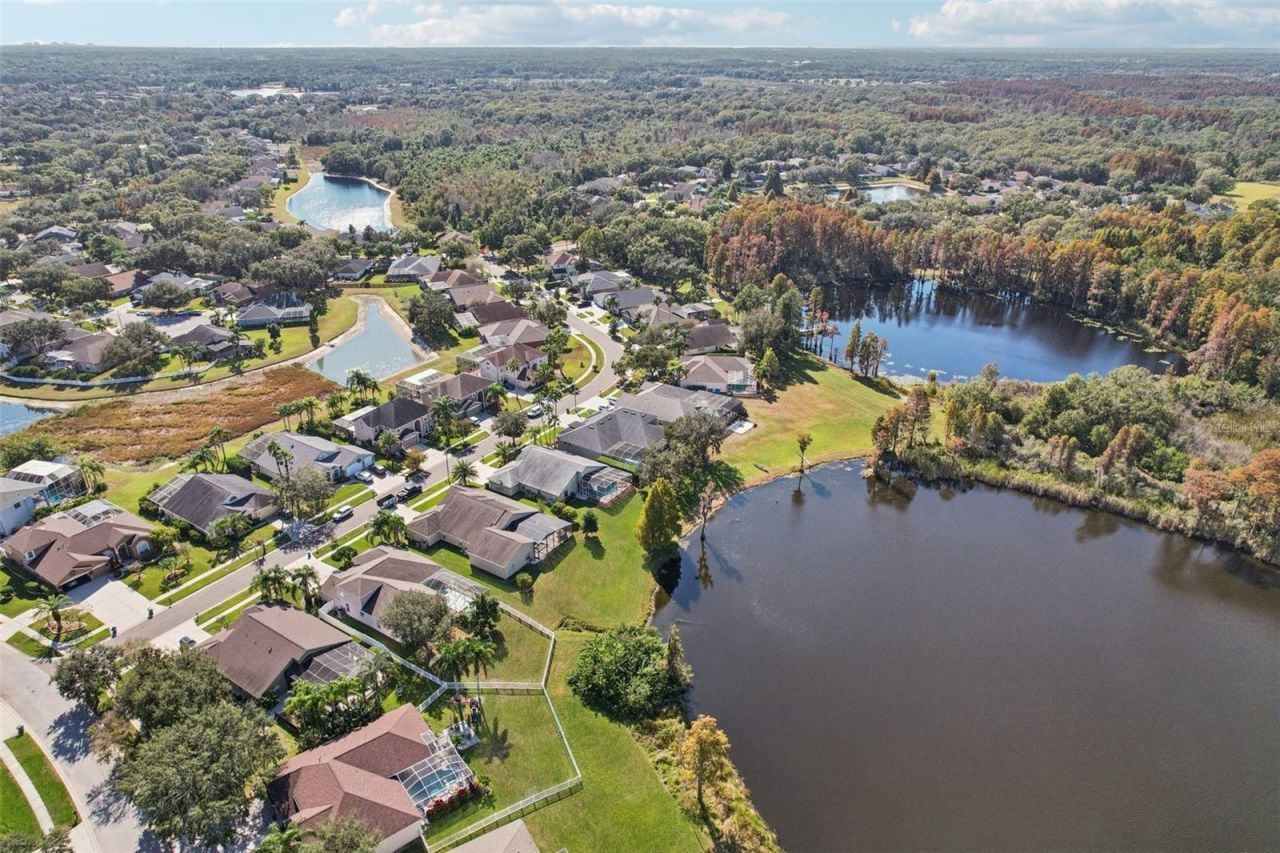 9107 Cypress Keep Lane, Odessa, FL 33556 Photo