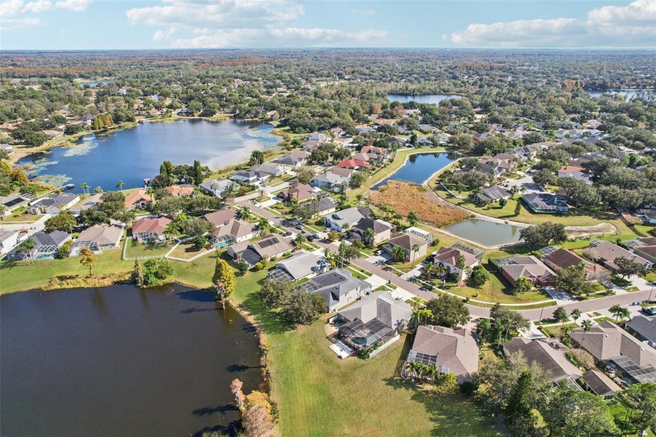 9107 Cypress Keep Lane, Odessa, FL 33556 Photo