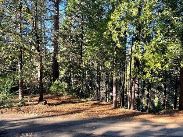 22447 Ponderosa Drive, Twain Harte, CA 95383