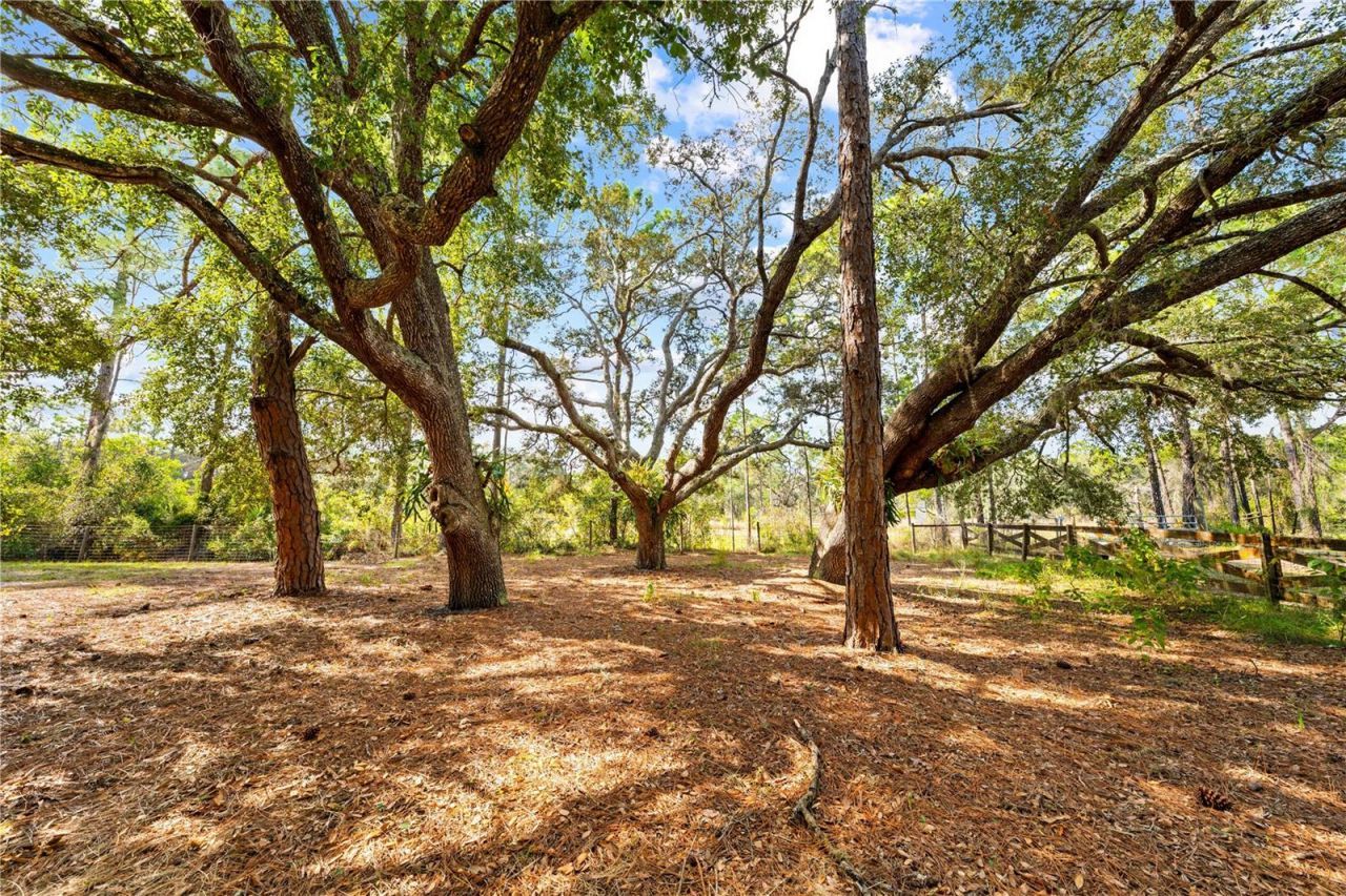 1860 Mustang Court, Saint Cloud, FL 34771 Photo