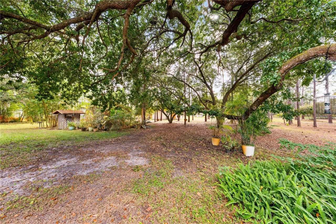 1860 Mustang Court, Saint Cloud, FL 34771 Photo