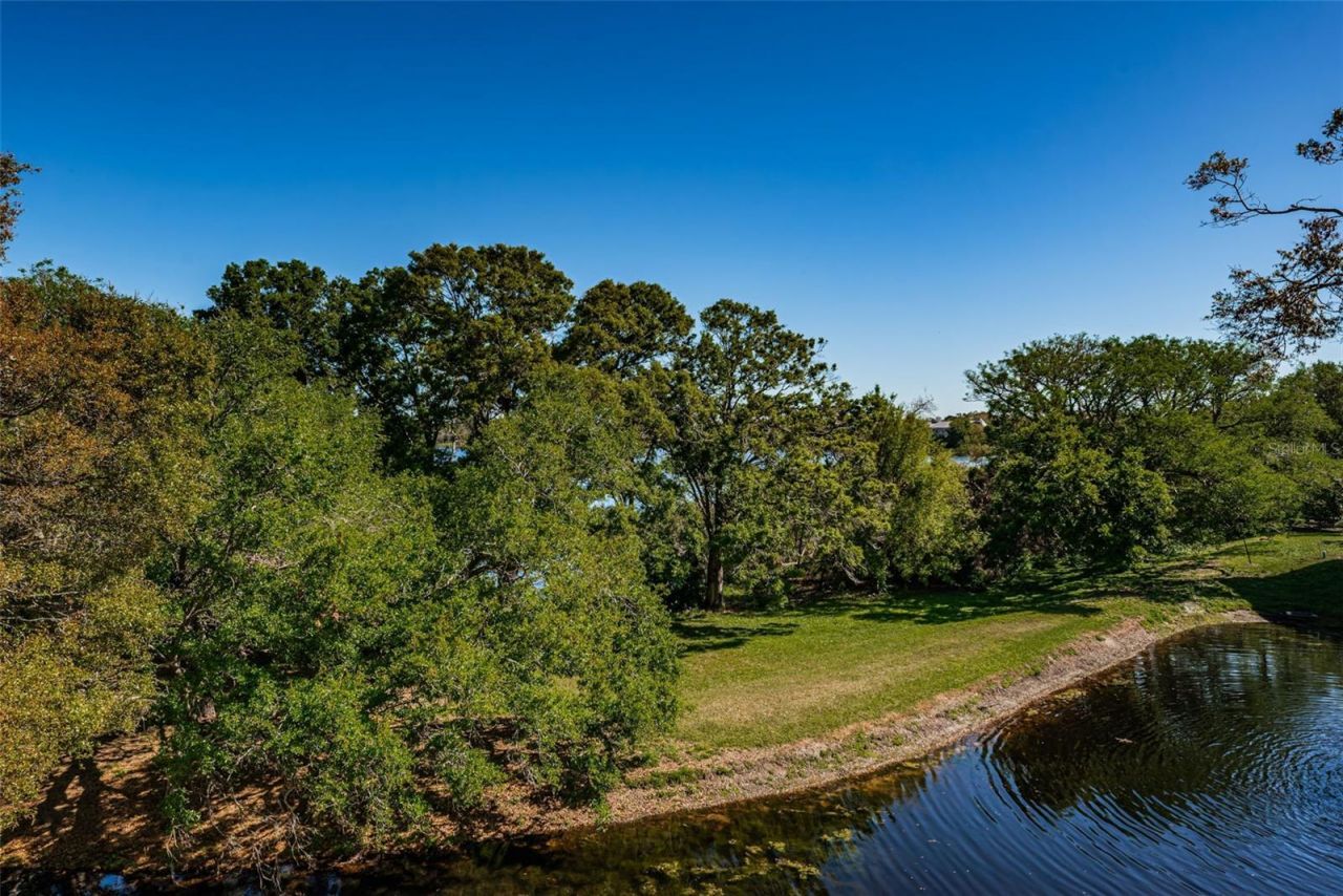 2019 Utopian Drive W, Unit 310, Clearwater, FL 33763 Photo