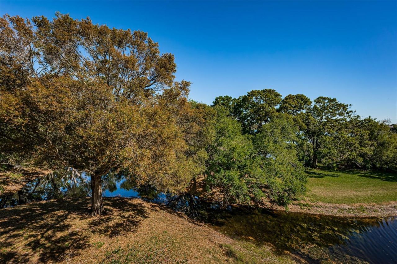 2019 Utopian Drive W, Unit 310, Clearwater, FL 33763 Photo