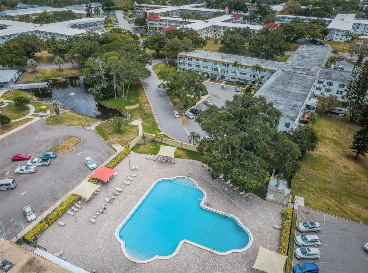 2019 Utopian Drive W, Unit 310, Clearwater, FL 33763 Photo