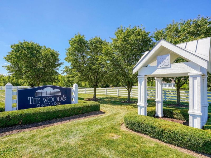 6931 Rothwell Street, New Albany, OH 43054 Photo 54