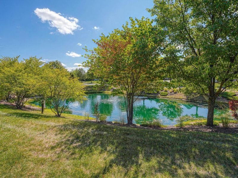 6931 Rothwell Street, New Albany, OH 43054 Photo 59