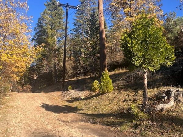 29834 Juniper Drive, Cedar Glen, CA 92321