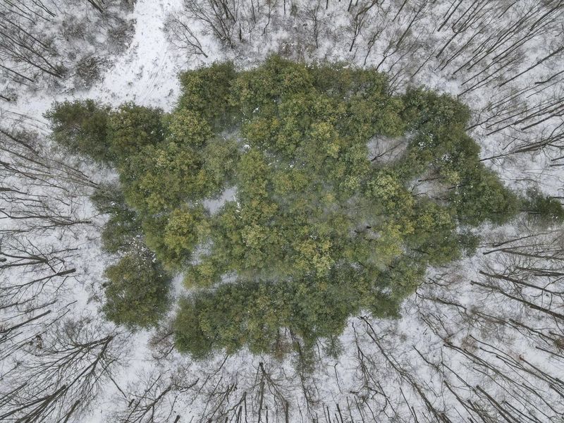 0 Township Rd 329, Corning, OH 43730 Photo 9