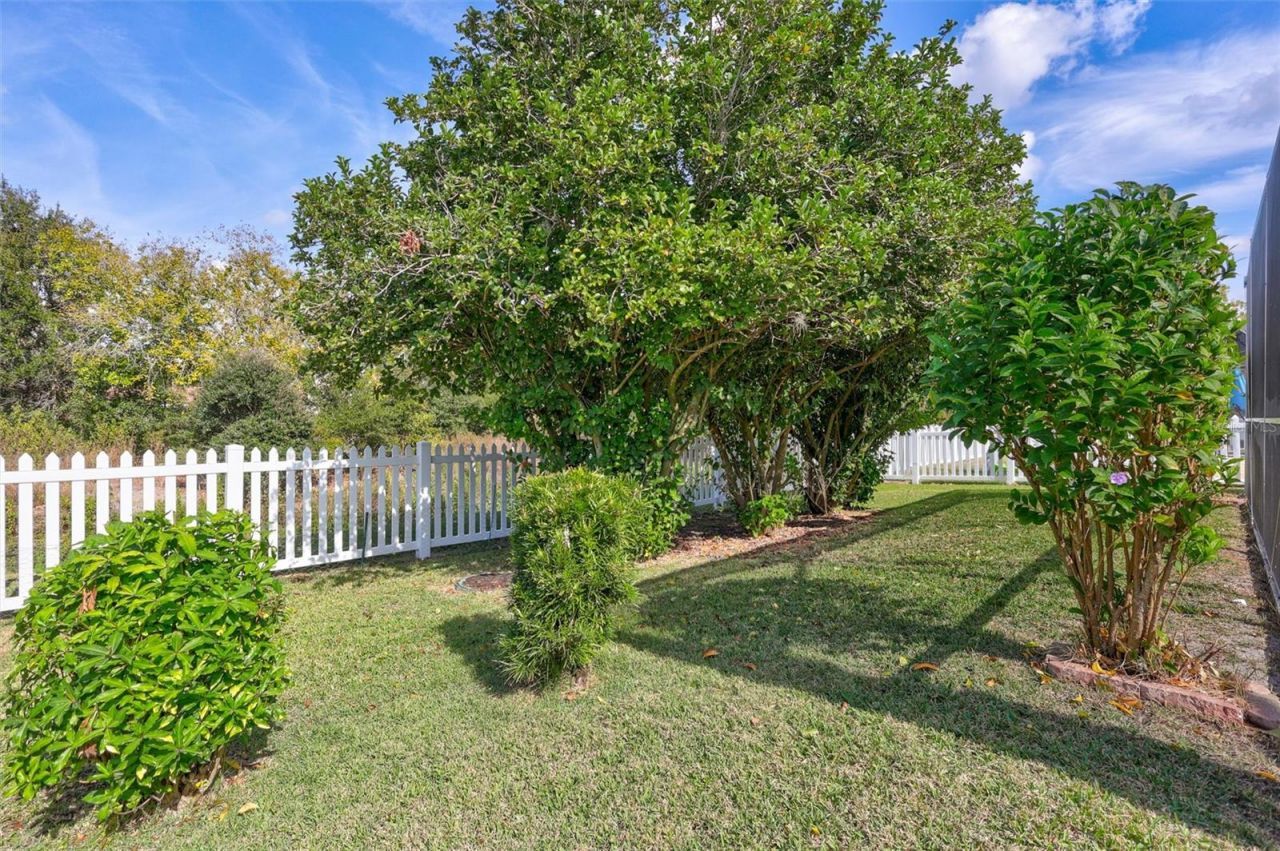 1930 Fruitridge Street, Brandon, FL 33510 Photo