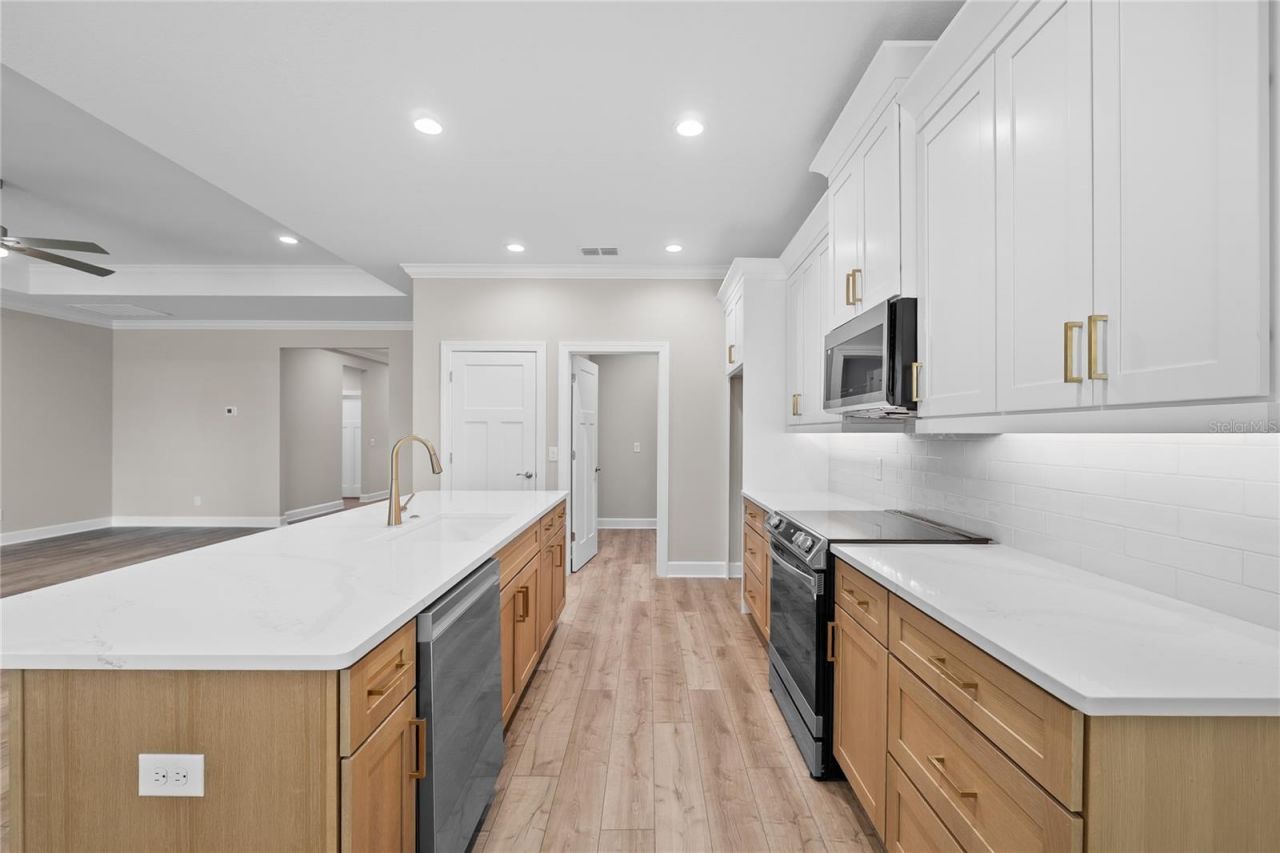 4537 Fairway Oaks Drive, Mulberry, FL 33860 Photo