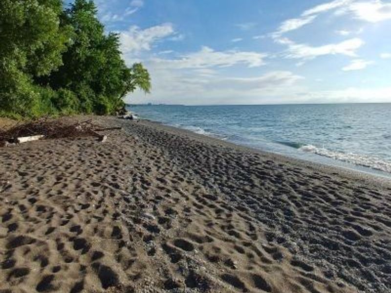 8 Shawondassee Drive, Timberlake, OH 44095 Photo 39