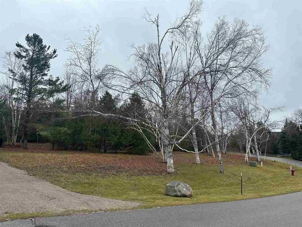 4585 Wildwinds Drive, Bay Harbor, MI 49770