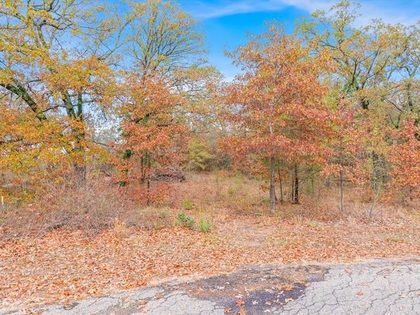 TBD Private Road 6374 Road, Alba, TX 75410