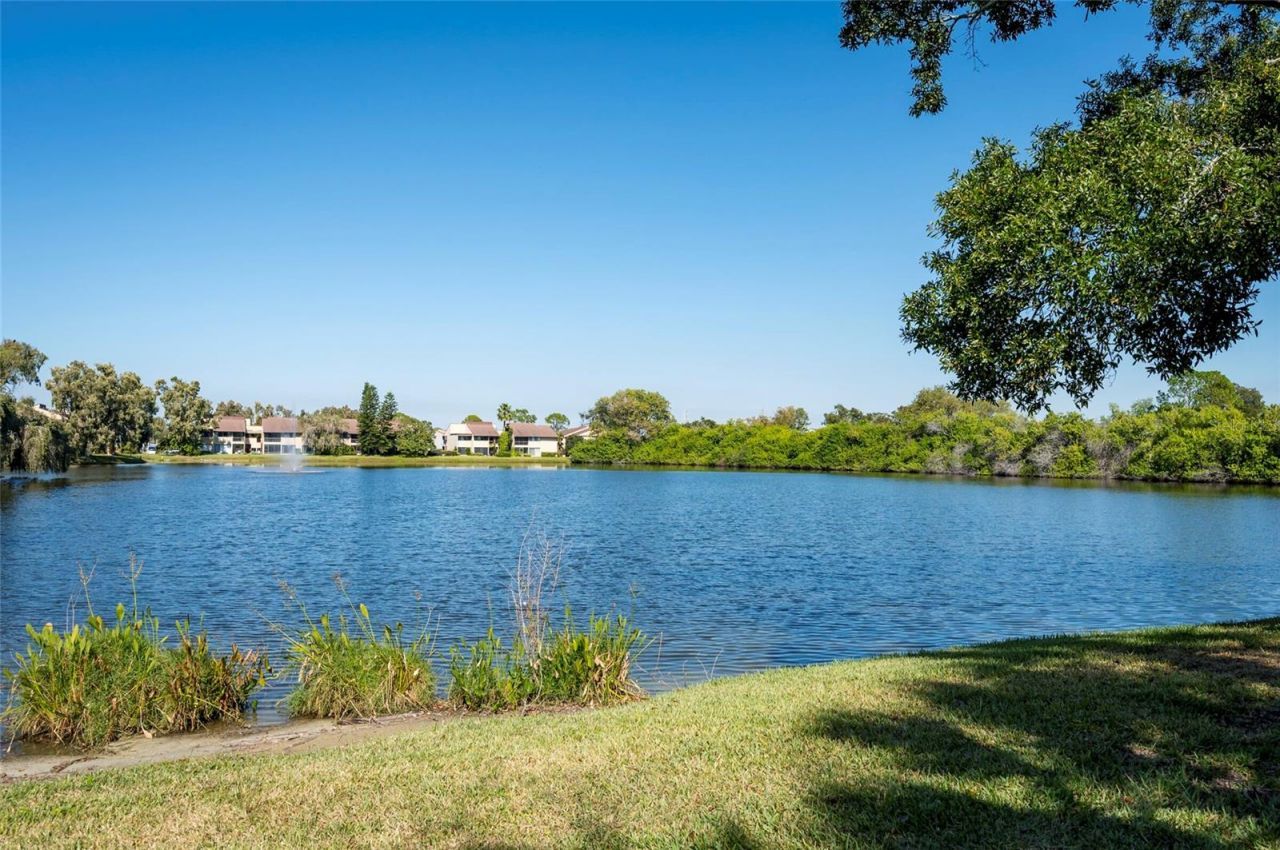 735 S Village Drive N, Unit 206, Saint Petersburg, FL 33716 Photo