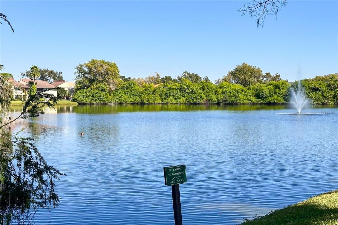 735 S Village Drive N, Unit 206, Saint Petersburg, FL 33716 Photo