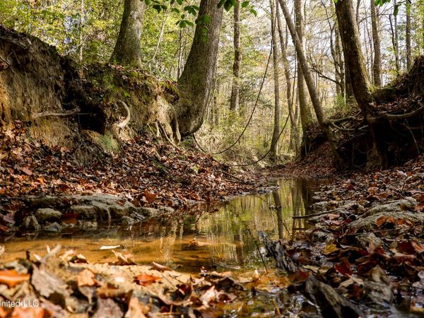 Les Harwell Road, Collinsville, MS 39325