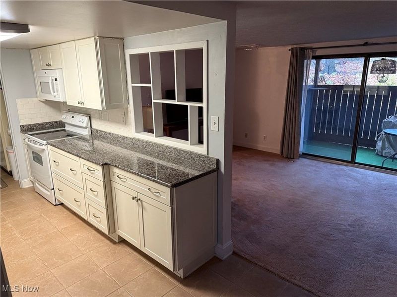 6895 Carriage Hill Drive, Unit E77, Brecksville, OH 44141 Photo 2