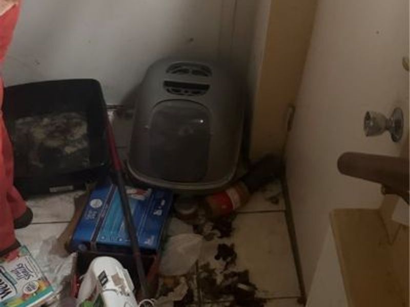 11909 Phillips Avenue, Cleveland, OH 44108 Photo 24