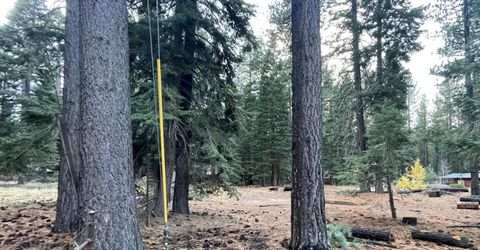 1223 Bonanza Avenue, Unit 3, South Lake Tahoe, CA 96150 Photo