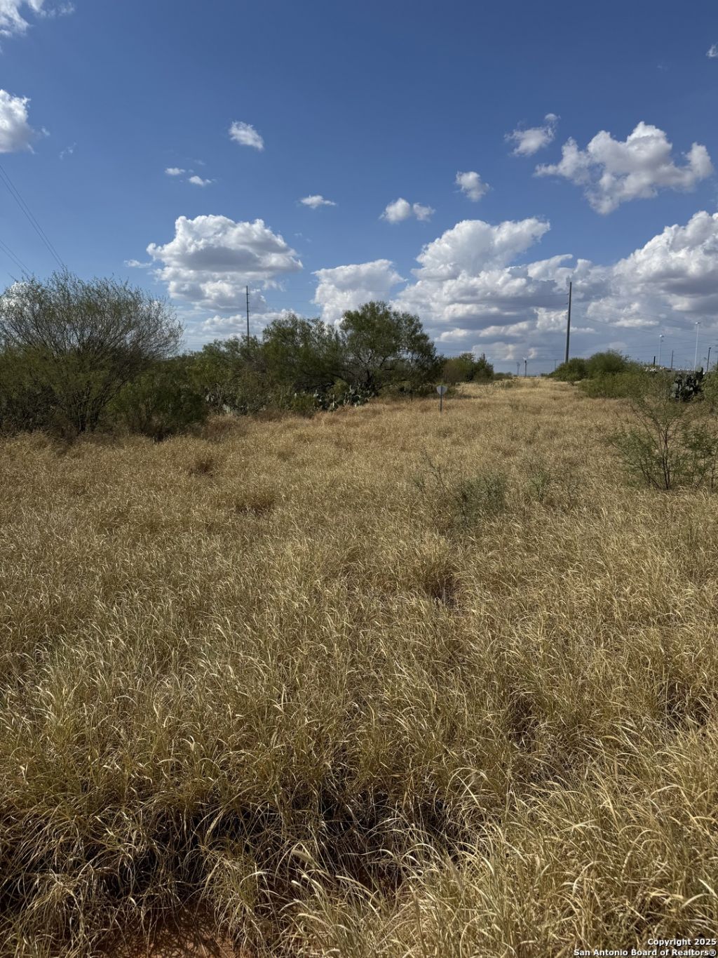 2438 Interstate 35, Cotulla, TX 78014 Main Photo