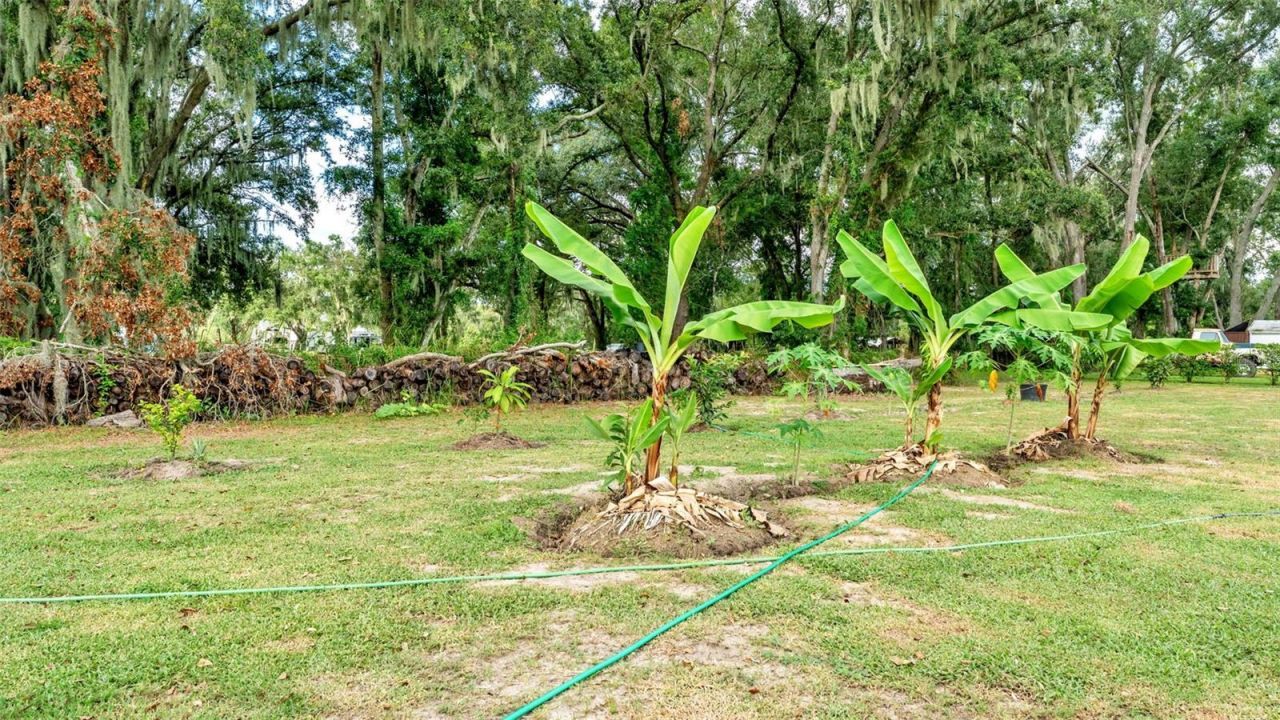 1193 Parker Road, Lakeland, FL 33811 Photo