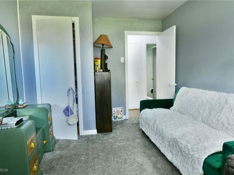 8797 Delin Thomas Road, Kinsman, OH 44428 Photo 17