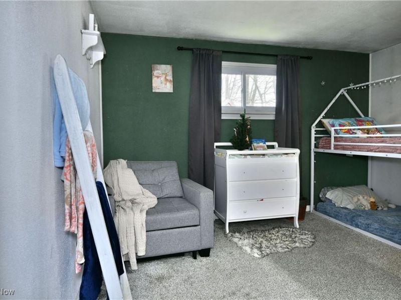 8797 Delin Thomas Road, Kinsman, OH 44428 Photo 30