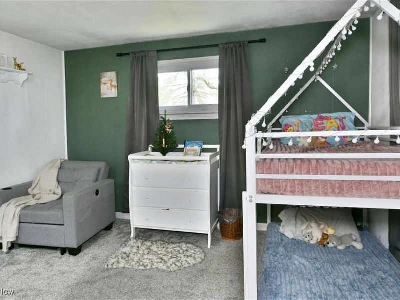 8797 Delin Thomas Road, Kinsman, OH 44428 Photo 36