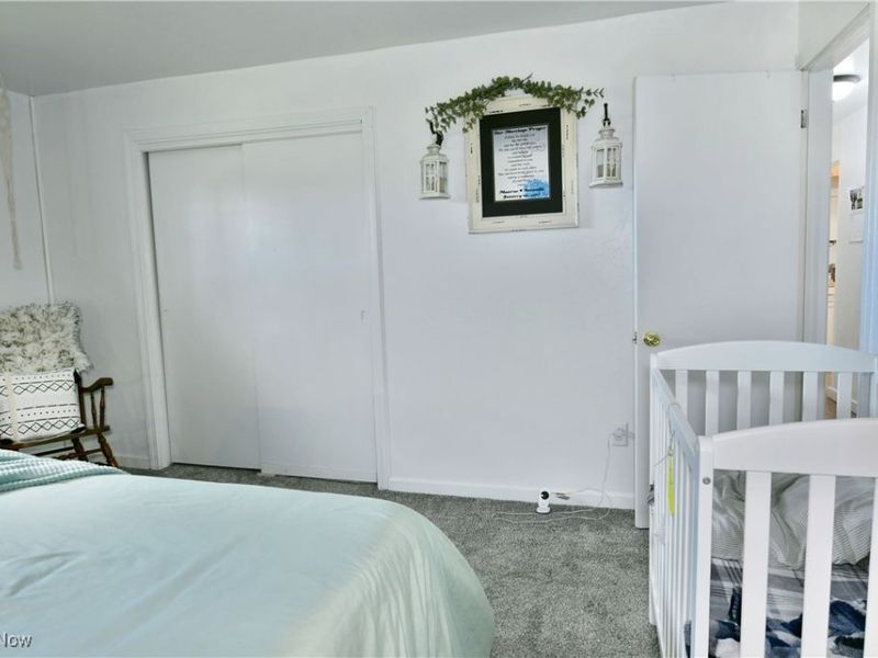 8797 Delin Thomas Road, Kinsman, OH 44428 Photo 42