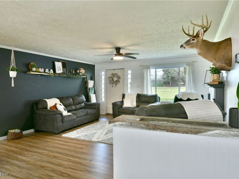 8797 Delin Thomas Road, Kinsman, OH 44428 Photo 7