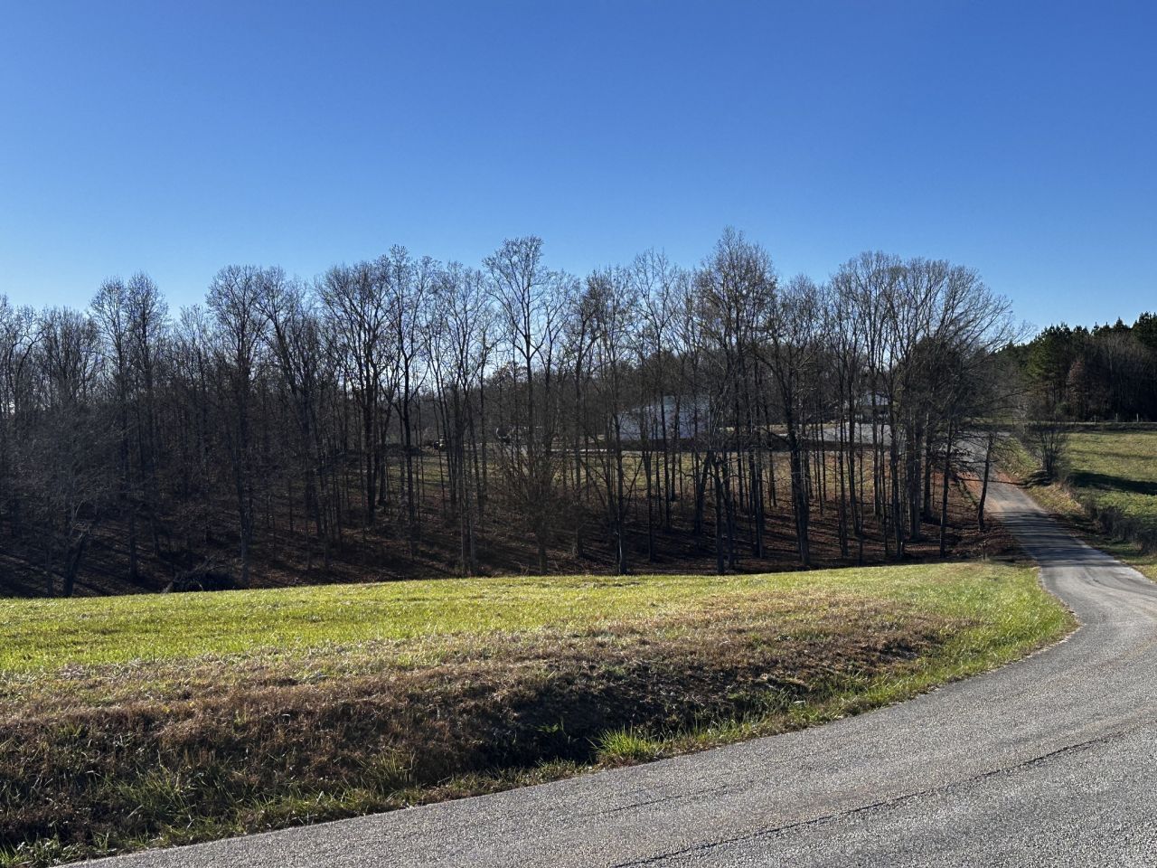 89 S Bradley Rd, Leoma, TN 38468 Main Photo