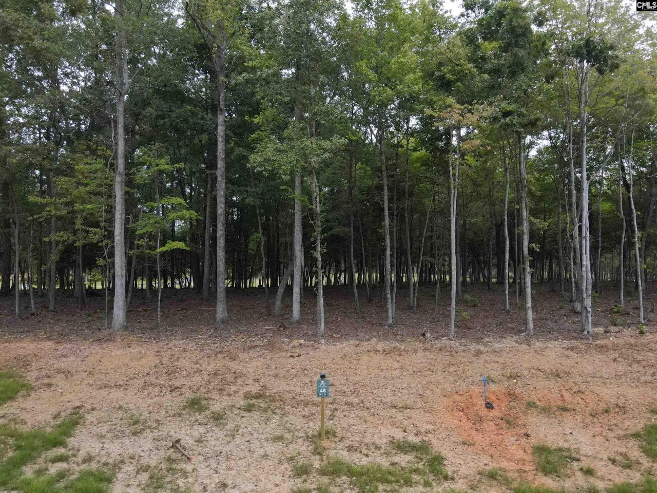 1061 Refuge Pl Photo 9