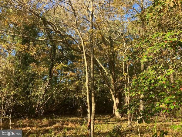 81 DAVIS ROAD, MARION STATION, MD 21838