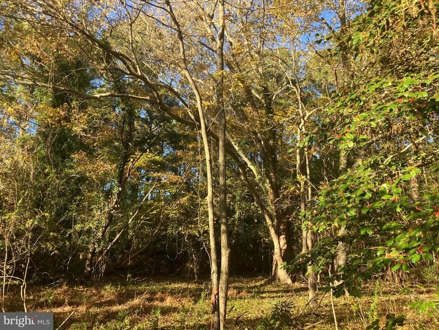 81 Davis Road, Marion Station, MD 21838 Main Photo