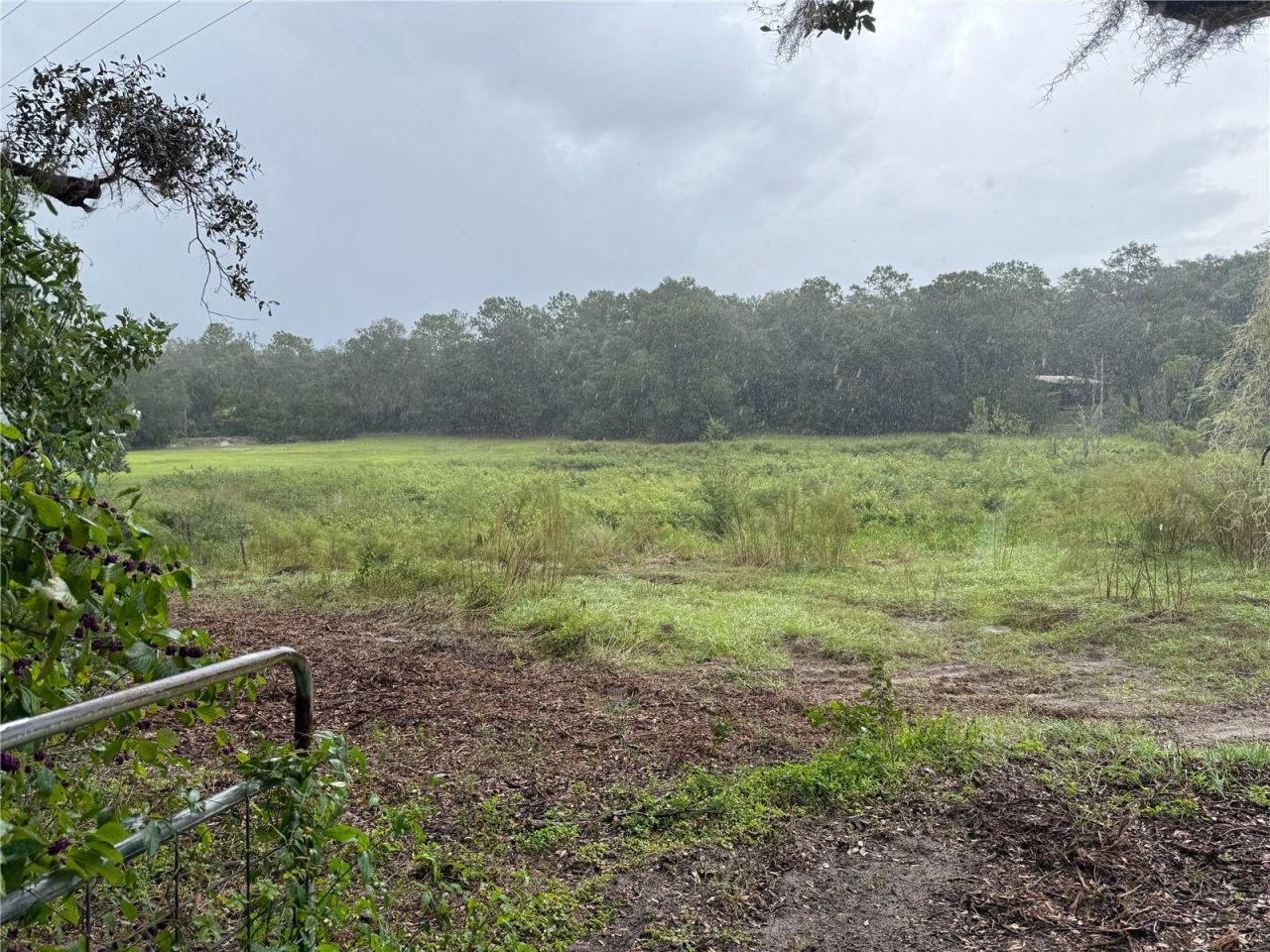 19735 Mccall Road, Altoona, FL 32702 Photo