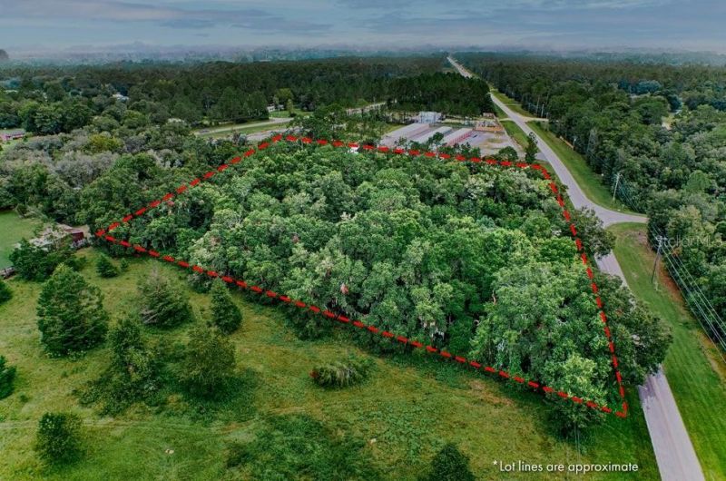 Se 9th Avenue, Starke, FL 32091 Photo