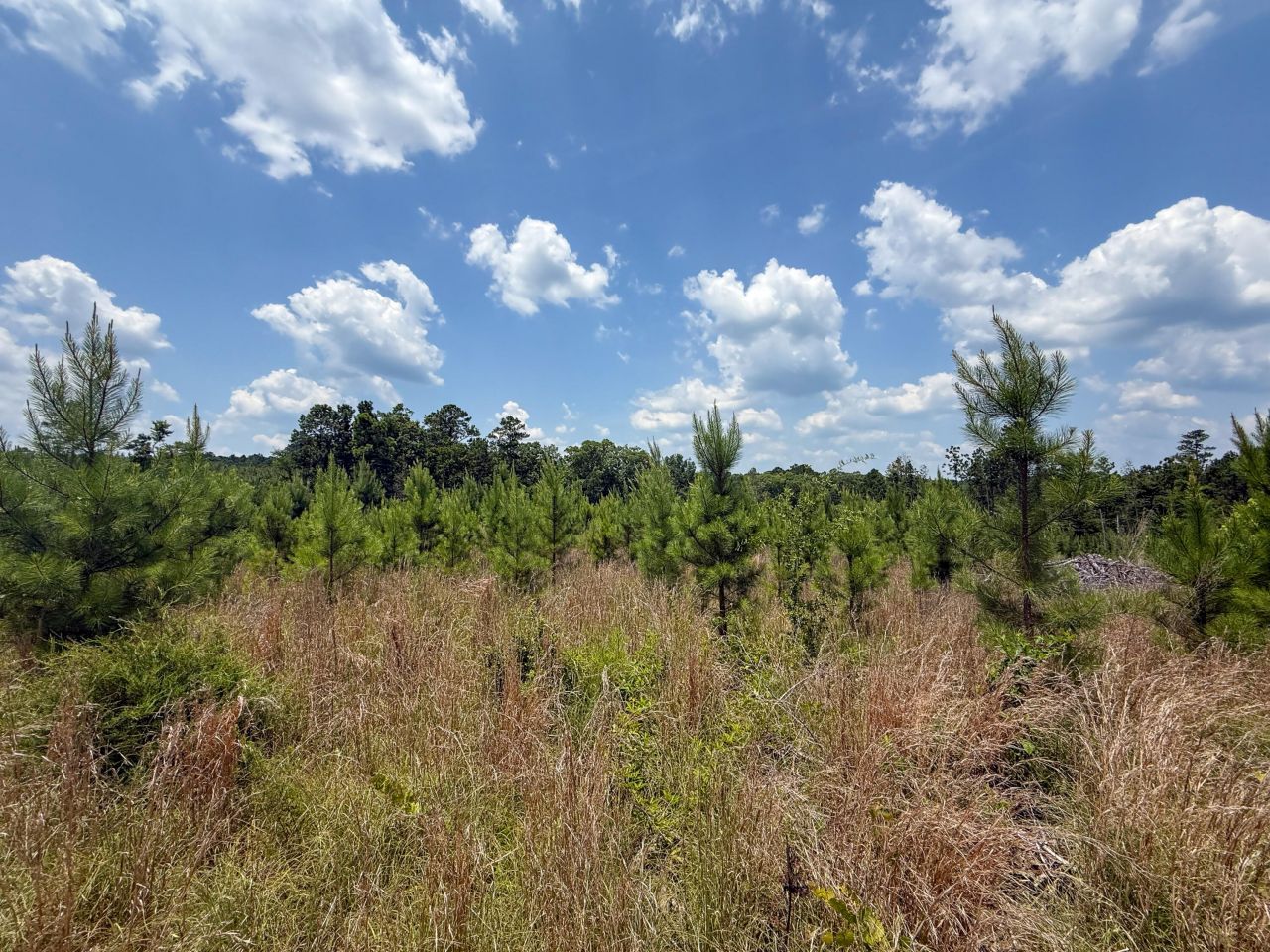 0 Buckhead Road Photo 10